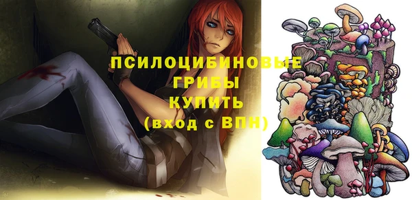 гидропоника Абаза